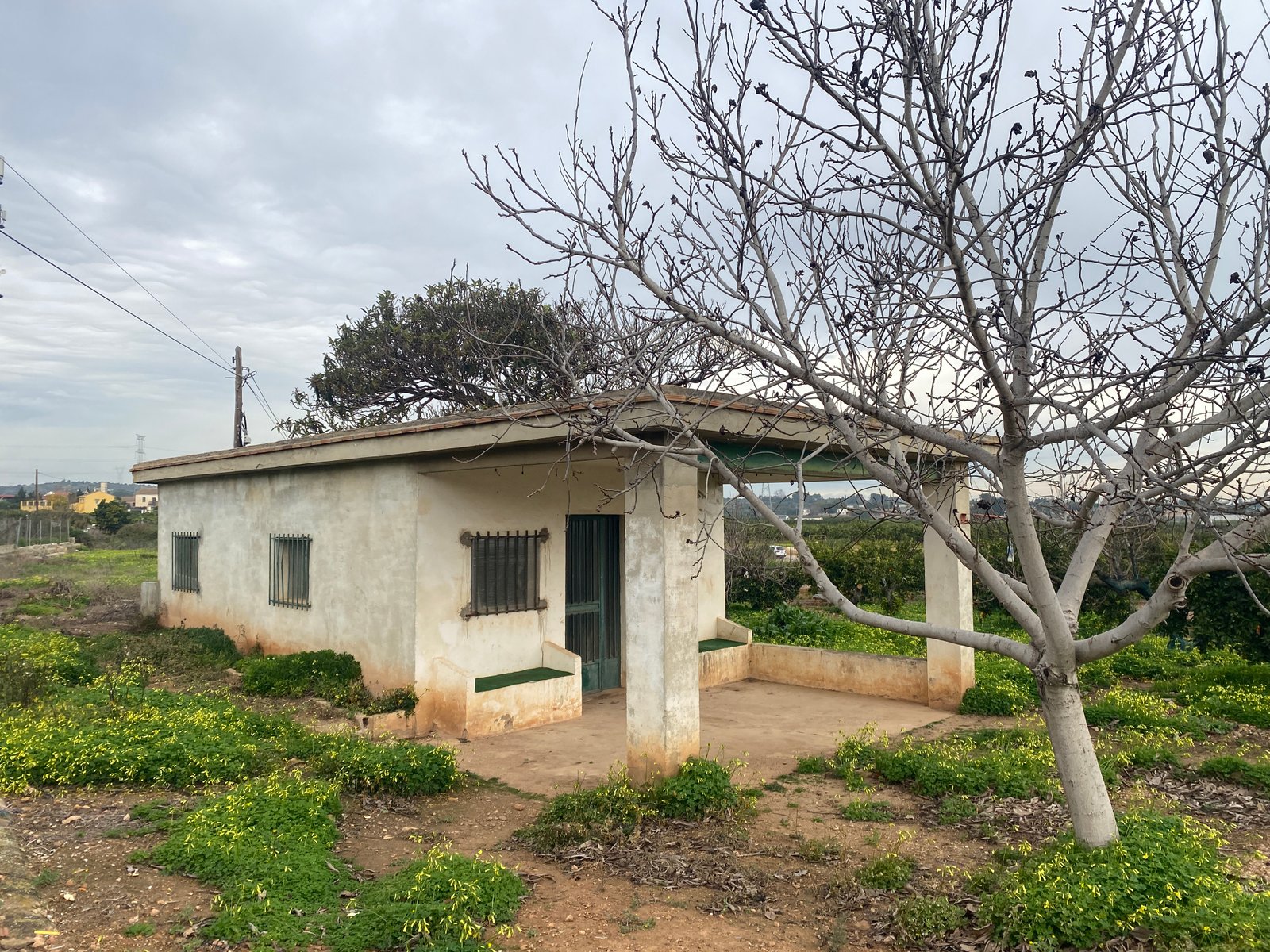 Venta de casa de campo rodeada de naranjos en Picassent